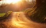 road, Landscape, Sunlight, Path, Nature Wallpapers HD / Desktop and ...