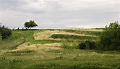 Russia, Summer, Grass, Horizon, Green, Path, Trees, Field Wallpapers HD ...