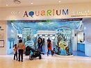Best 3 things to do in Coex Aquarium Seoul