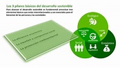 los-3-pilares-basicos-del-desarrollo-sostenible - CAEB - Confederación ...