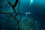 Video y fotos de un misterioso 'río' bajo el mar - RT