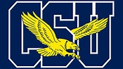 Coppin State Eagles Logo, symbol, meaning, history, PNG, brand