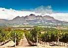 Visit Stellenbosch on a trip to South Africa | Audley Travel
