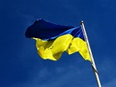Free stock photo of national, national flag, ukraine