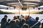 Scenic Ballina River Cruise - Out Of The Blue Adventures Reservations