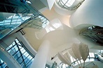 Guggenheim XX. Un edificio que cambio su tiempo. Museo Guggenheim ...