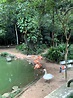 Parque Zoológico de São Paulo: preço do ingresso, horários e animais