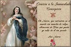 Imágenes, frases y oraciones para celebrar el Día de la Inmaculada ...