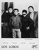 Los Lobos marks 40 years of distinctive, eclectic music - Goldmine ...