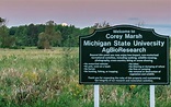 New trail makes nature more accessible at Corey Marsh - Ecology ...