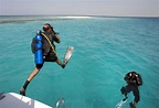 Saudi Arabia’s Red Sea divers explore freedoms off the coast | Arab News PK