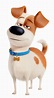 Max | The Secret Life of Pets Wiki | FANDOM powered by Wikia
