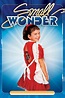 Small Wonder (TV Series 1985-1989) — The Movie Database (TMDb)