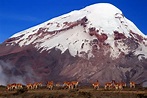 Región Sierra: características, clima, flora, fauna