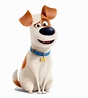 Image - Max dog.png | The Secret Life of Pets Wiki | FANDOM powered by ...