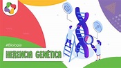 Herencia genética | Biología - Educatina - YouTube