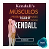 Escala Muscular de Kendall | Kineed.org