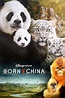 Born in China (2016) - Posters — The Movie Database (TMDb)