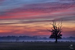 Dämmerung bei aufkommendem Nebel Foto & Bild | landschaft, Äcker ...