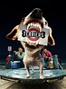 Terriers, série TV de 2010 - Télérama Vodkaster