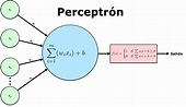 El perceptrón como neurona artificial - Blog de Jose Mariano Alvarez