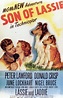 El hijo de Lassie (1945) - FilmAffinity