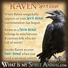 Biblical Meaning Of Raven In A Dream - DREAMAIP