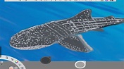 Como dibujar un tiburón ballena! Sketchbook/Shark whale speed painting ...