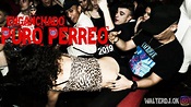 ENGANCHADO PURO PERREO 2019 - WALTER DJ 🔥 - YouTube