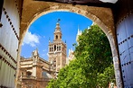 Tickets und Touren der Kathedrale von Sevilla | musement