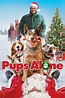 Pups Alone (2021) | The Poster Database (TPDb)