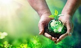 15 Frases sobre el cuidado del medio ambiente | ¡Lucha por el planeta!