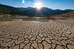 Día Mundial de la Lucha contra la Desertificación y la Sequía ...