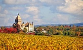 Tolochenaz - Vaud, Switzerland - Around Guides