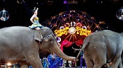 Elephants perform for final time at Ringling Bros. circus - ABC7 San ...