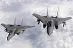Grumman F-14 Tomcat - Wikiwand