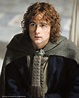 Pippin | Lord of the rings, Billy boyd, The hobbit