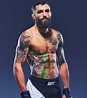 Michael Chiesa - Bio, Net Worth, MMA, UFC, Next Fight, Record, Wife ...