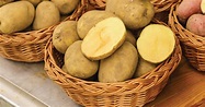 GMO Potatoes Are Here - How to Avoid Them - Organic Consumers