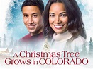 A Christmas Tree Grows in Colorado Pictures - Rotten Tomatoes