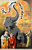 Películas parecidas a Sólo para elefante con orquesta | Mejores ...