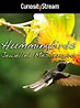 Hummingbirds: Jewelled Messengers (TV Movie 2012) - IMDb