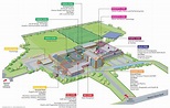 Map Of The Campus – Esher Sixth Form College