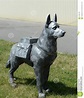 El Monumento Del Perro De Trabajo En Stalingrad Imagen de archivo ...