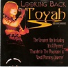 Toyah - Looking Back (2001, CD) | Discogs