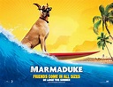 Marmaduke | Teaser Trailer