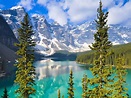 20 best things to do in Canada from the Rockies to Niagara Falls ...