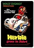 Herbie groß in Fahrt: DVD oder Blu-ray leihen - VIDEOBUSTER.de