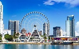 Los 8 mejores lugares que visitar en Miami - Ciudad Trendy