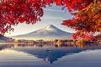 【河口湖自由行攻略】看富士山一日遊行程、景點、交通、美食、住宿攻略 | BringYou